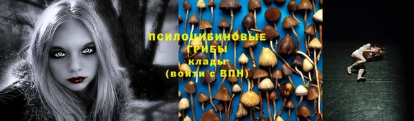 стафф Беломорск