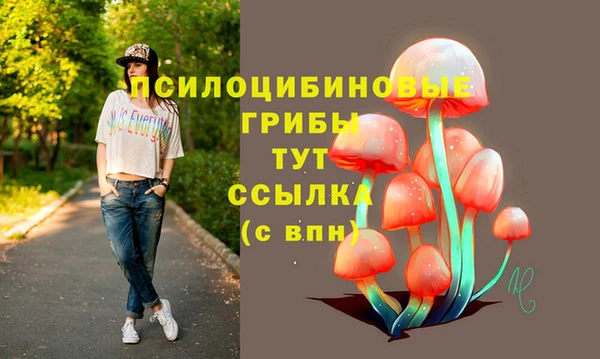 амф Белокуриха