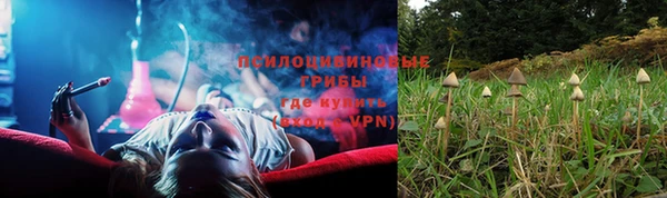 стафф Беломорск